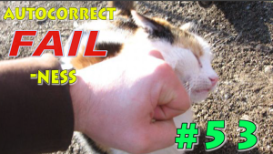 autocorrect-fail-ness-punch-cat