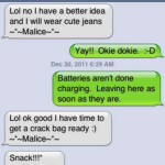 autocorrect-fail-ness-crack-bag